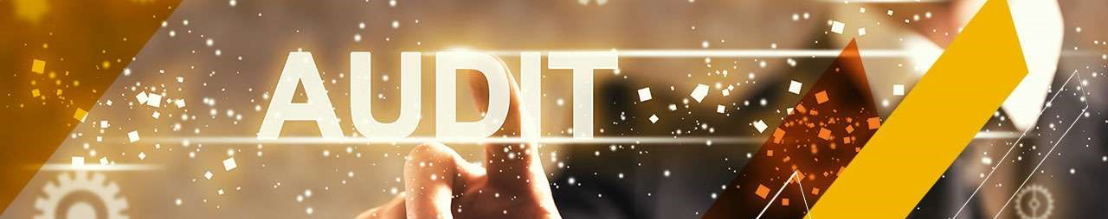 Audit Graphics